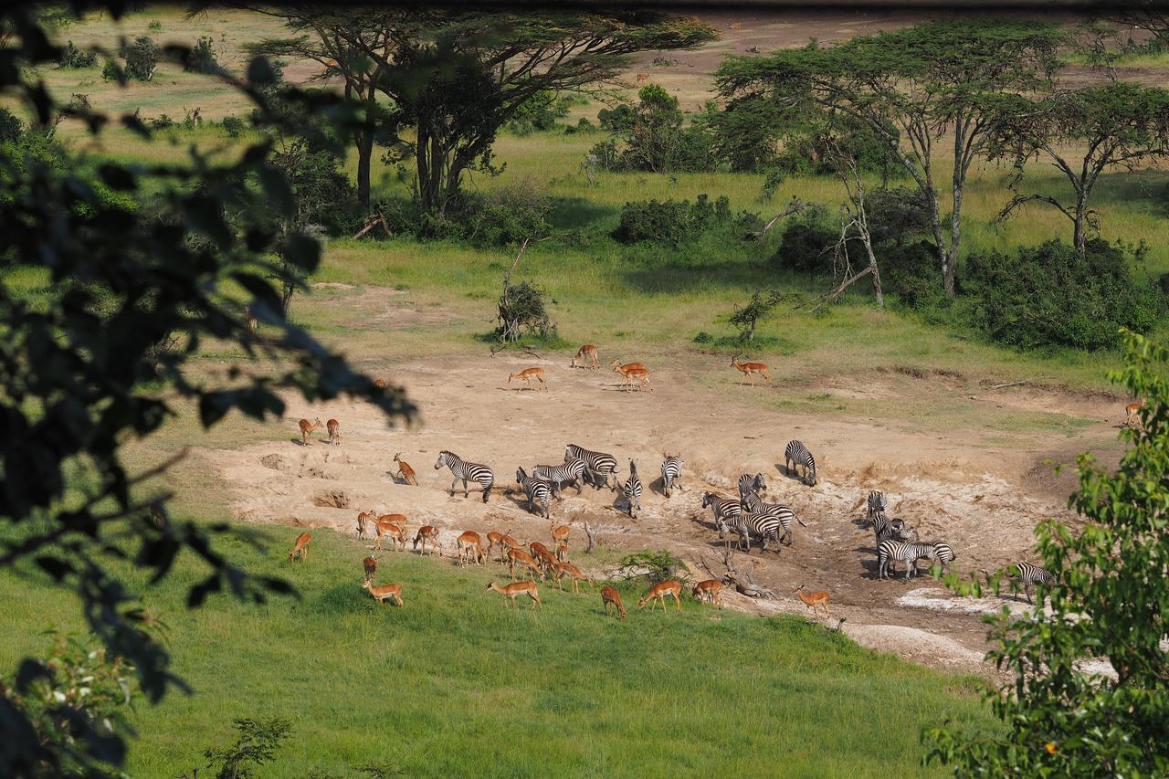 Отель Saruni Eagle View Naboisho Экстерьер фото
